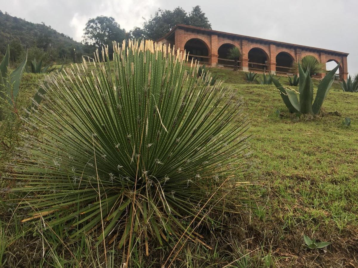 فندق Rancho Escondido Casa Goyri Tlaxco المظهر الخارجي الصورة